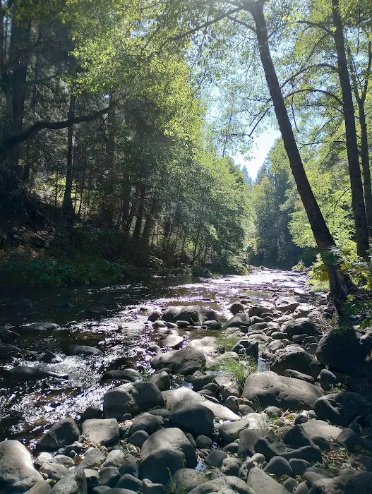 Potato Patch Campground 7