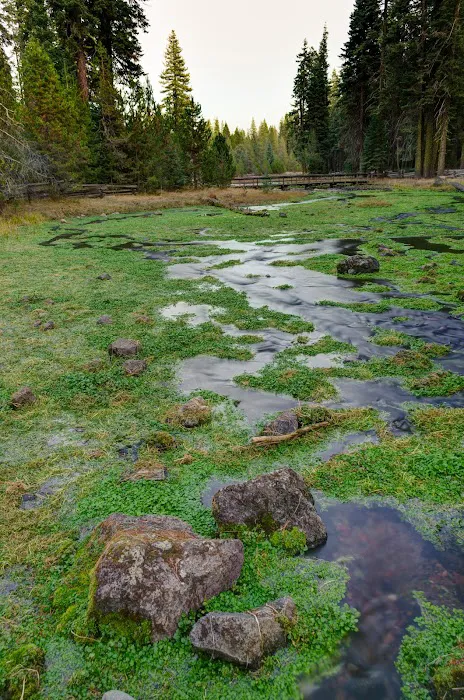 Domingo Spring Campground 1