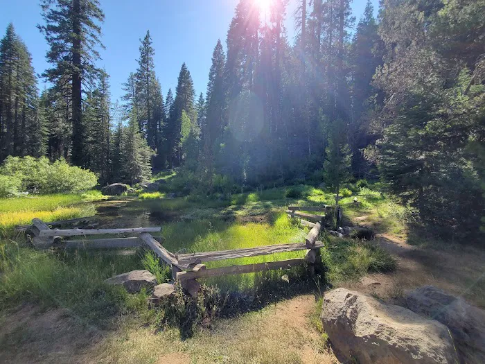 Domingo Spring Campground 2