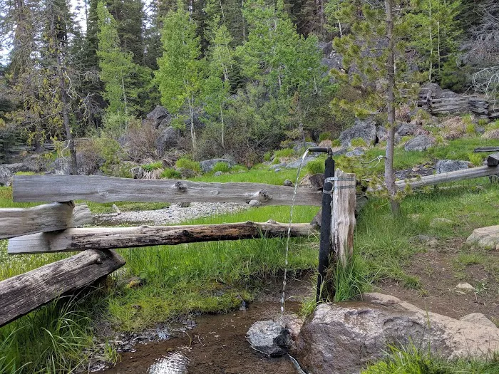 Domingo Spring Campground 3