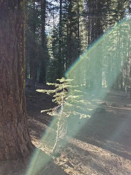 Domingo Spring Campground 5