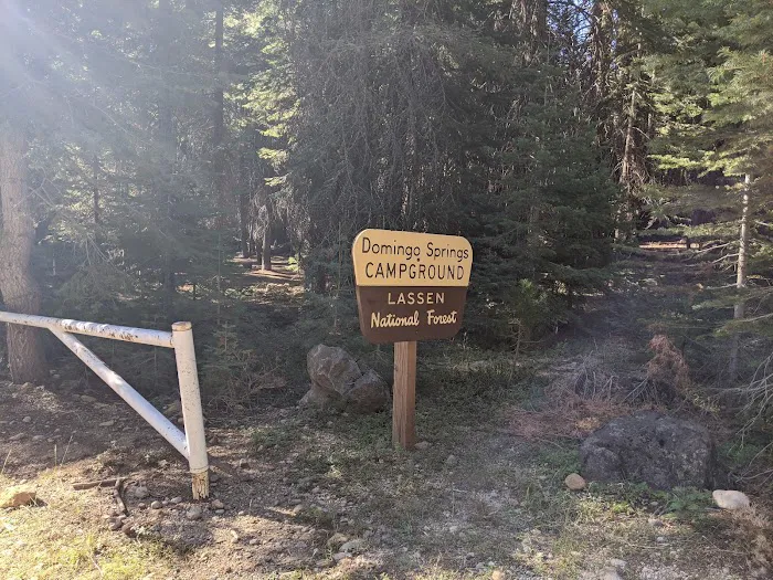 Domingo Spring Campground 6
