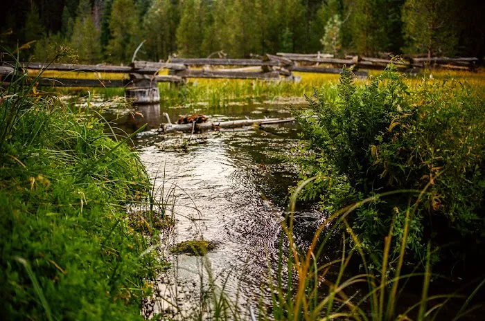 Domingo Spring Campground 4