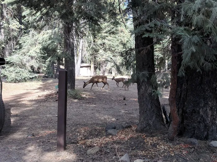 Warner Valley Campground 8