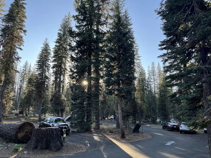 South Summit Lake Campground 5