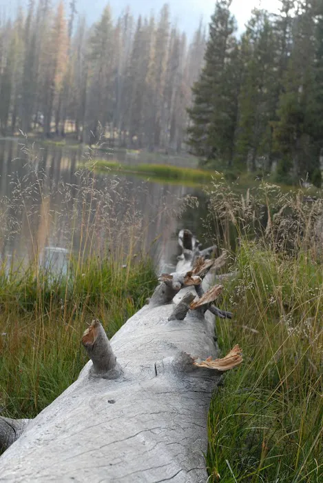 South Summit Lake Campground 4