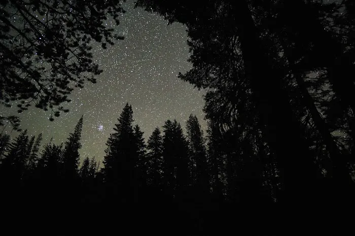 South Summit Lake Campground 7