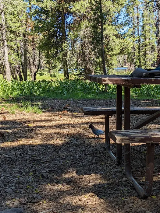 South Summit Lake Campground 9