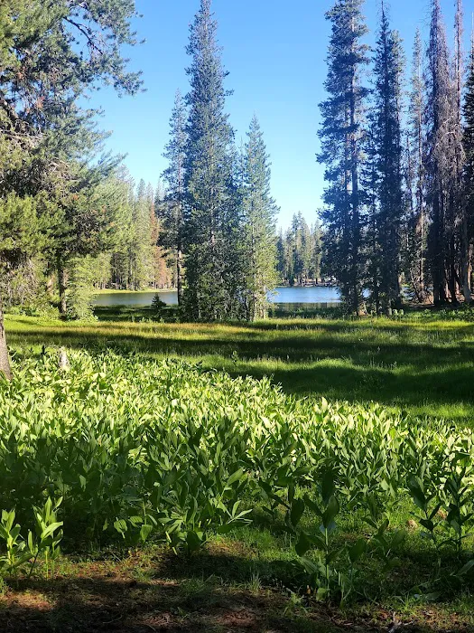 Summit Lake Campground 3