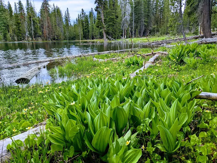 Summit Lake Campground 1