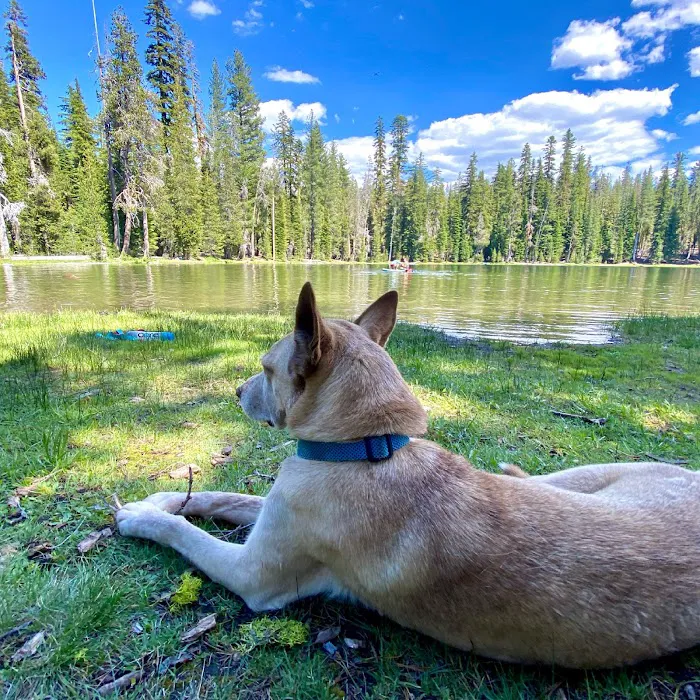 Summit Lake Campground 5