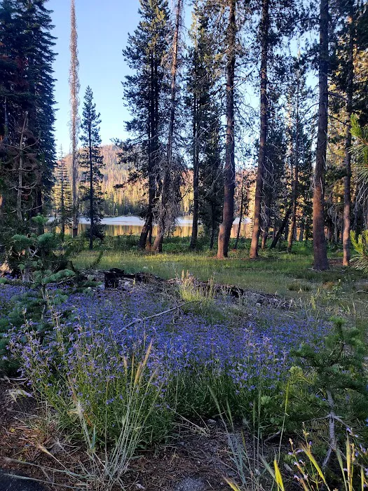 Summit Lake Campground 6