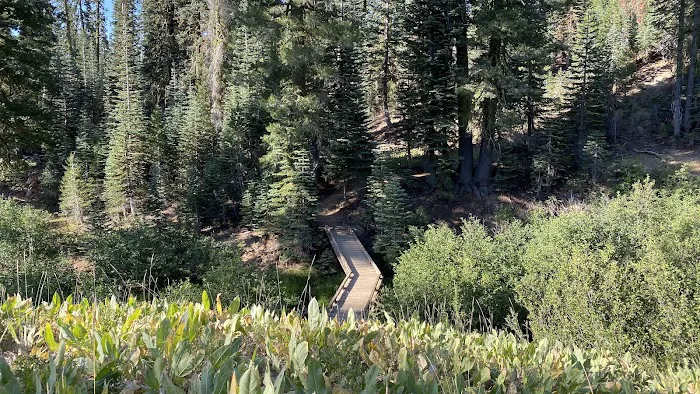 Summit Lake Campground 7