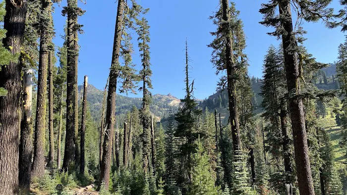Summit Lake Campground 9