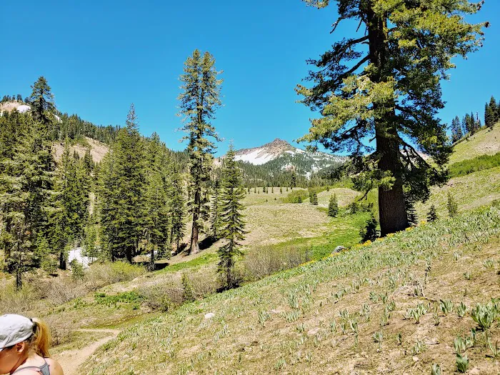Summit Lake North Campground 3