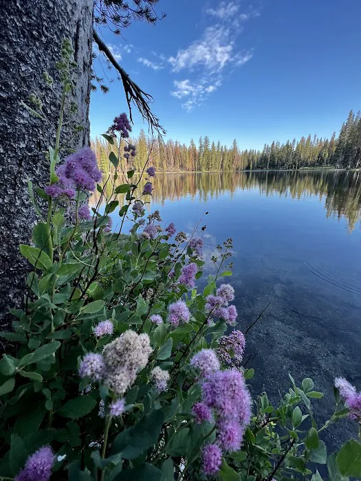 Summit Lake North Campground 1
