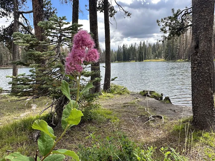 Summit Lake North Campground 6