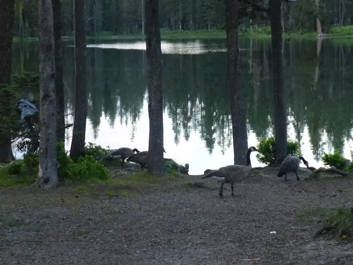 Summit Lake North Campground 9