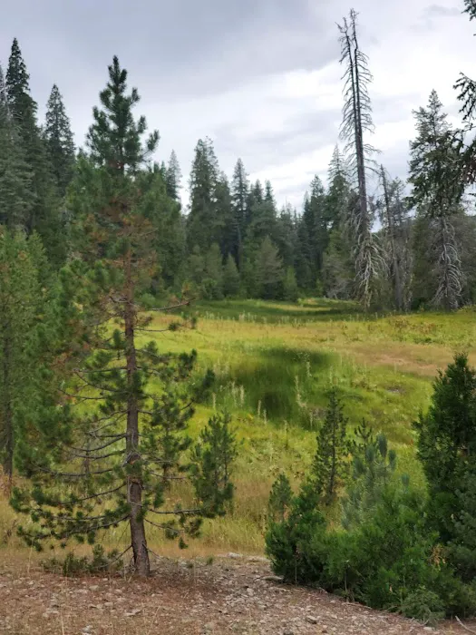 Juniper Lake Campground 4