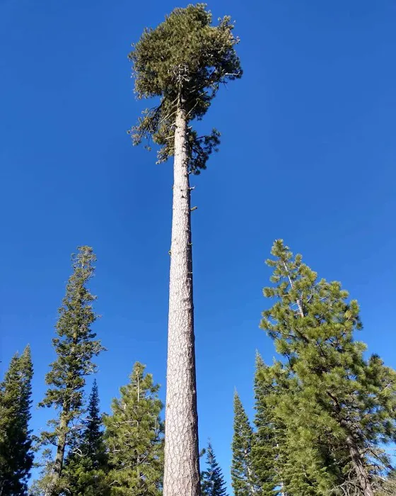 Warner Creek Campground 0