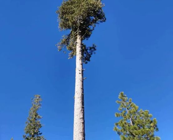 Warner Creek Campground