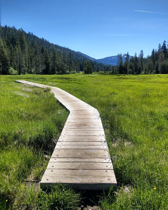 Warner Creek Campground 3
