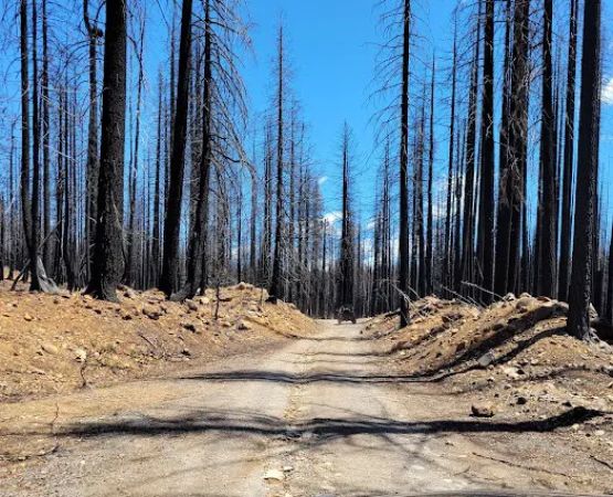 Benner Creek Campground