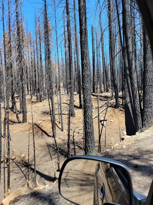 Benner Creek Campground 2