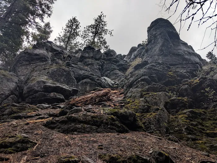 High Bridge Campground 8