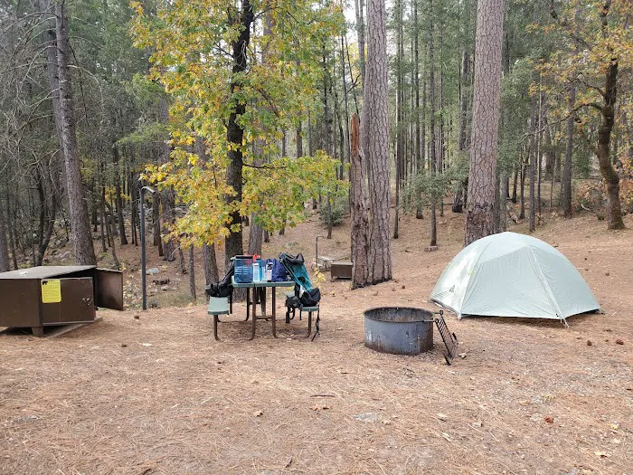 Sheep Camp 0