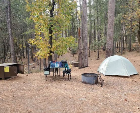 Sheep Camp