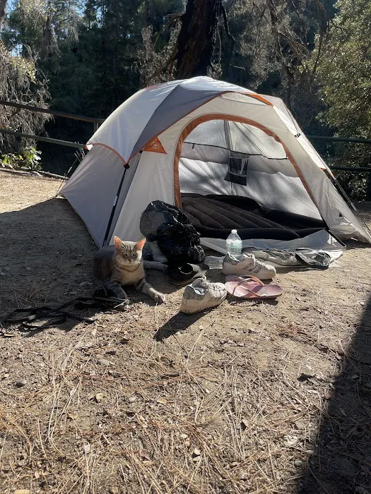 Sheep Camp 2
