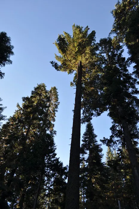PSEA, Camp Almanor PRIVATE CAMP 3