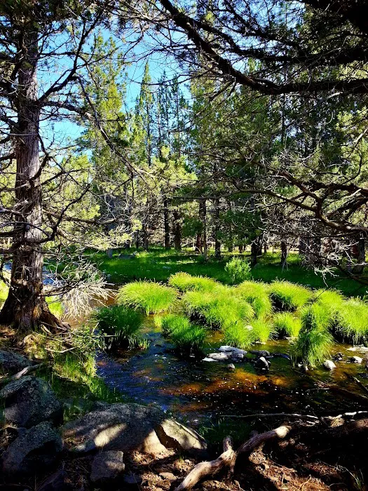 Almanor Ranger District 7