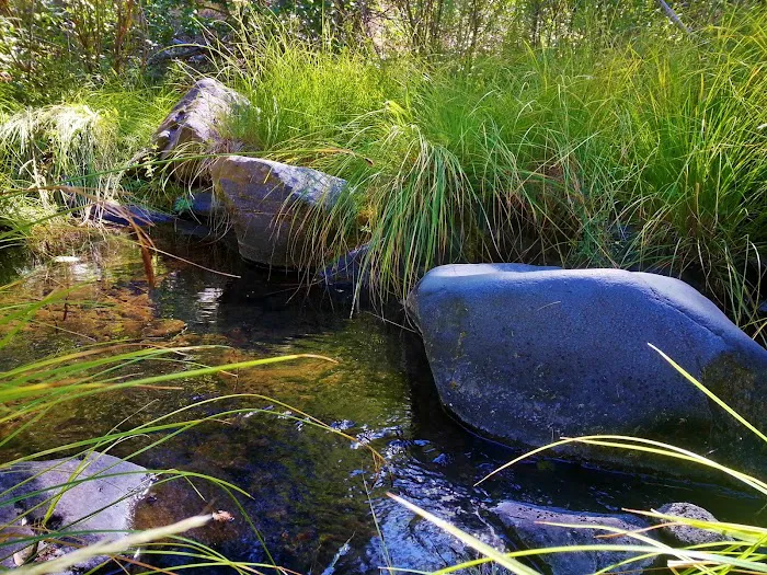 Almanor Ranger District 6