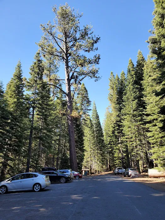 Manzanita Lake Campground 6