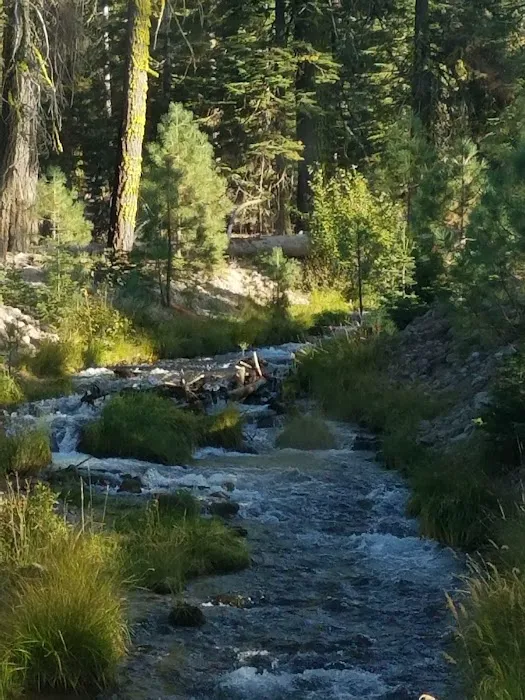 Manzanita Lake Campground 9