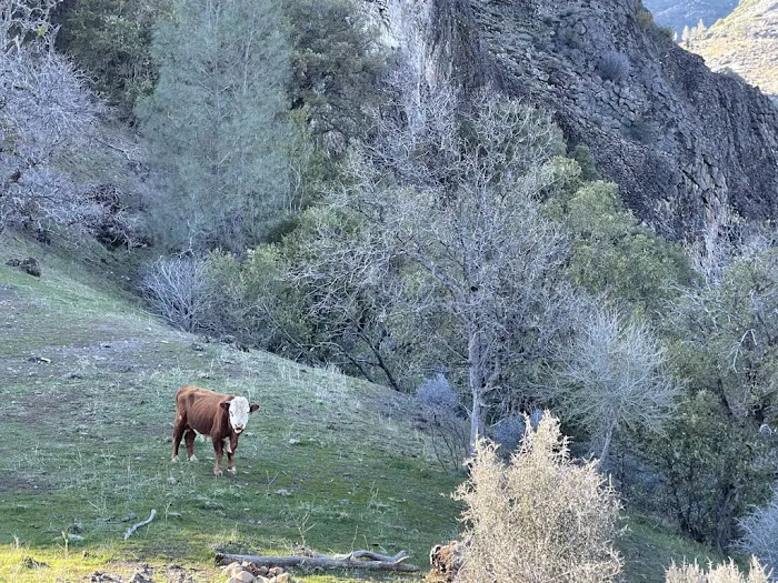 Black Rock Campground 3
