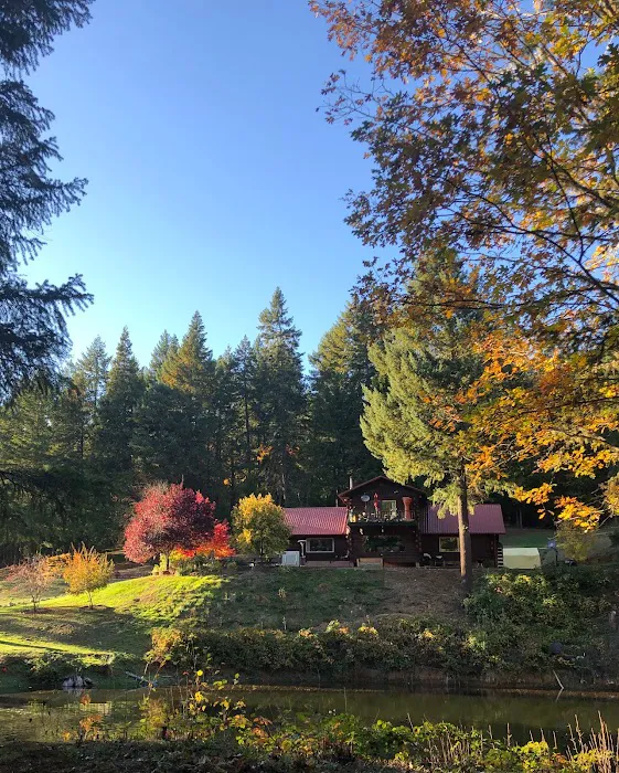 Sunny Valley Resort 5