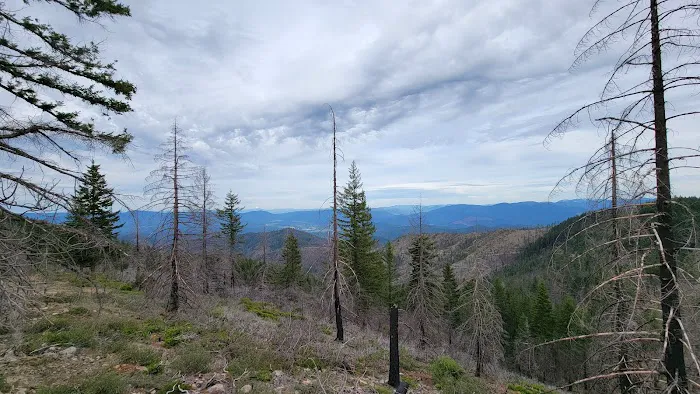 Mine Trail Campfire Lookout 3