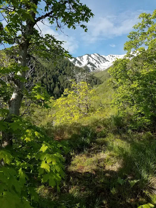 Maple Rise Recreation Camp 3