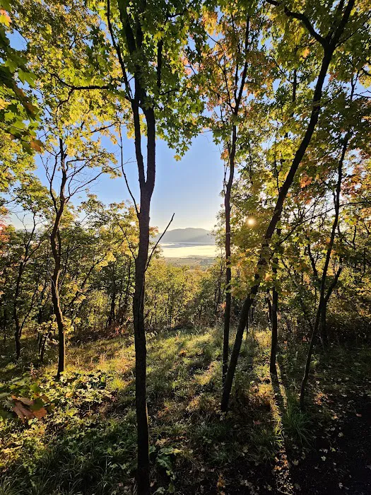 Maple Rise Recreation Camp 8