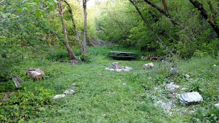 Shady Acres - private campground 6