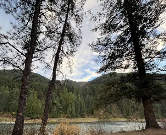 Peninsula, National Forest Recreation Area