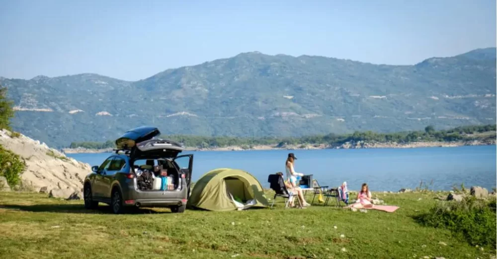Essential Guide to Bear Safe Camping Gear in the USA for Outdoor Safety