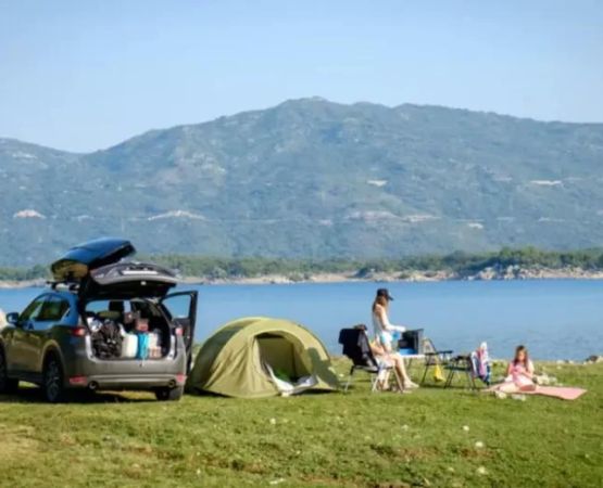 Essential Guide to Bear Safe Camping Gear in the USA for Outdoor Safety
