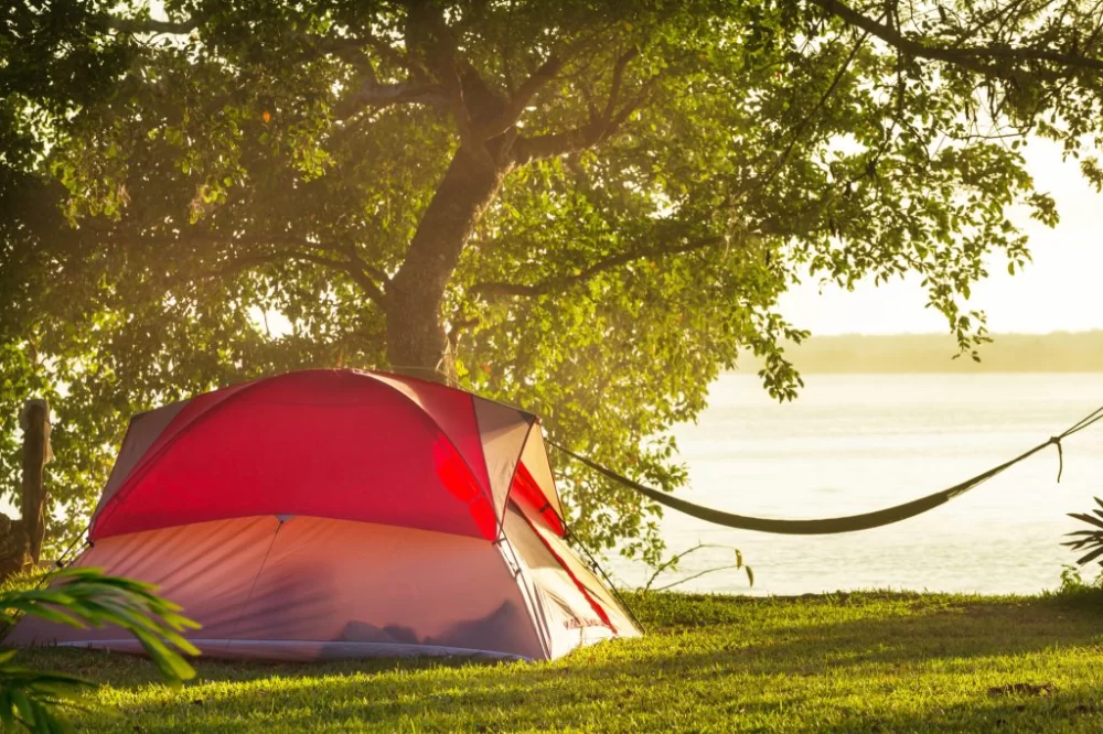 Practical Tips for Stress Free Camping Trips in the USA for an Enjoyable Outdoor Experience