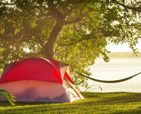 Practical Tips for Stress Free Camping Trips in the USA for an Enjoyable Outdoor Experience