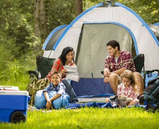 How to Camp with Allergies in the USA: Tips for a Safe and Enjoyable Outdoor Experience