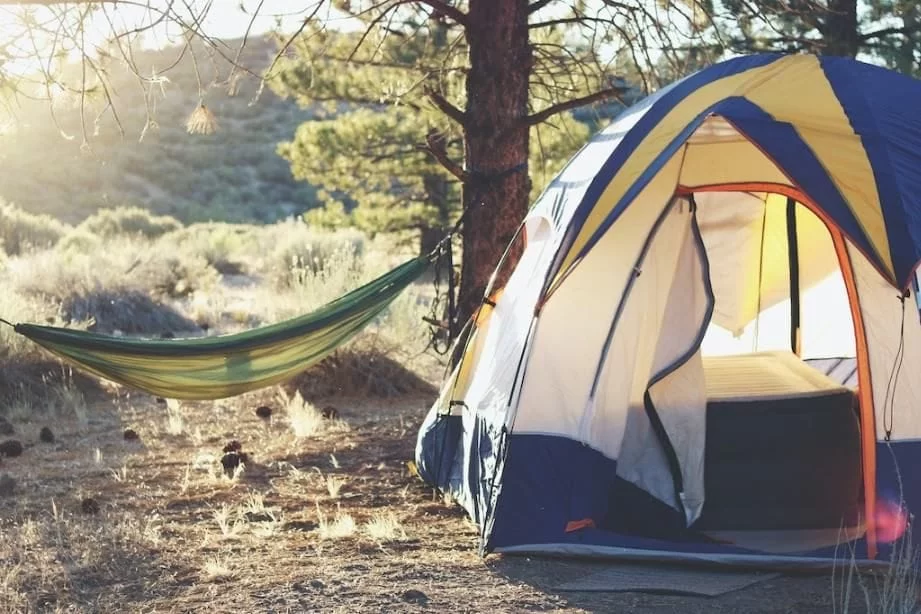 Essential Hammock Camping Safety Tips in the USA for a Secure Outdoor Experience